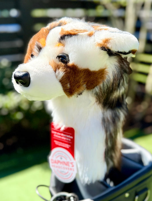 Australian Shepherd Headcover