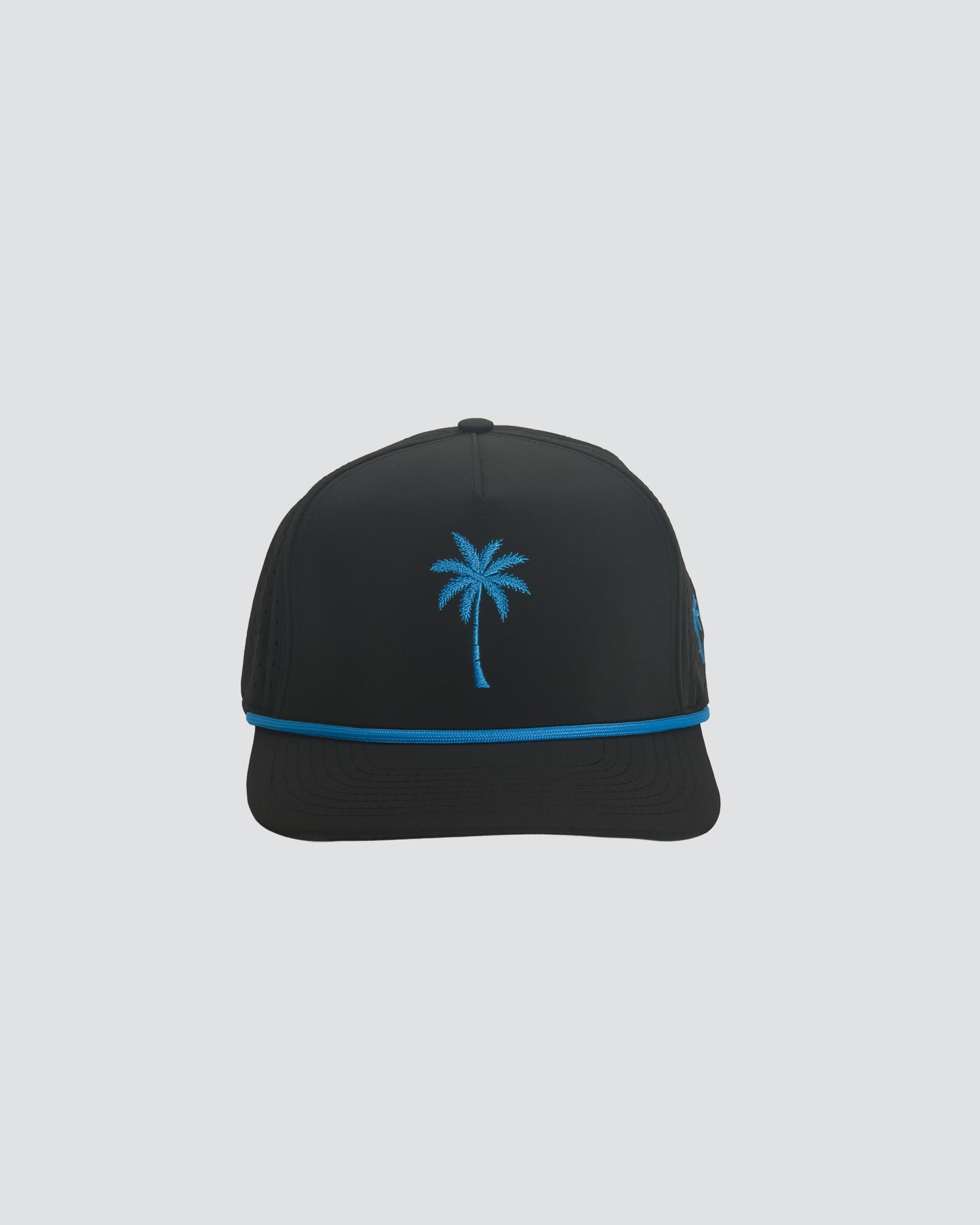 Island Palm