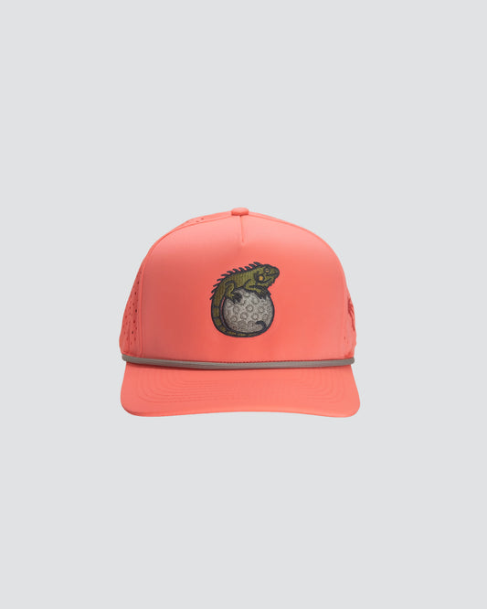 Coral cap with a lizard emblem on a white background